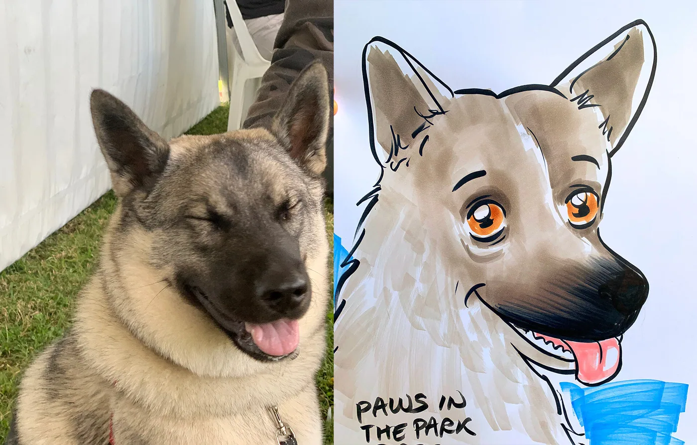 Hand-drawn caricature of a pet