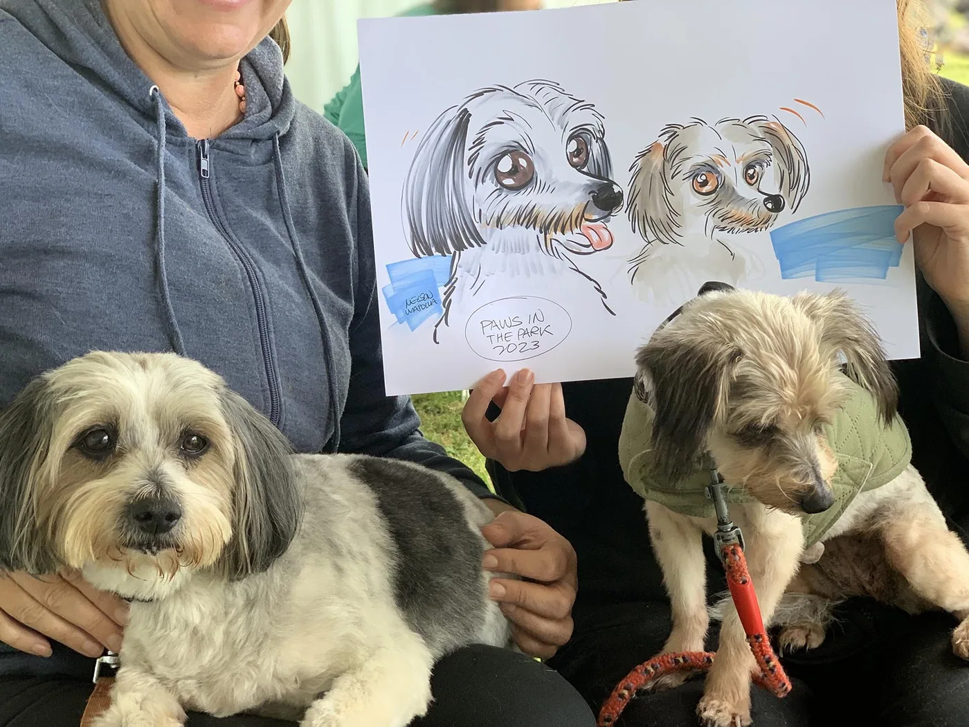 Hand-drawn caricature of a pet