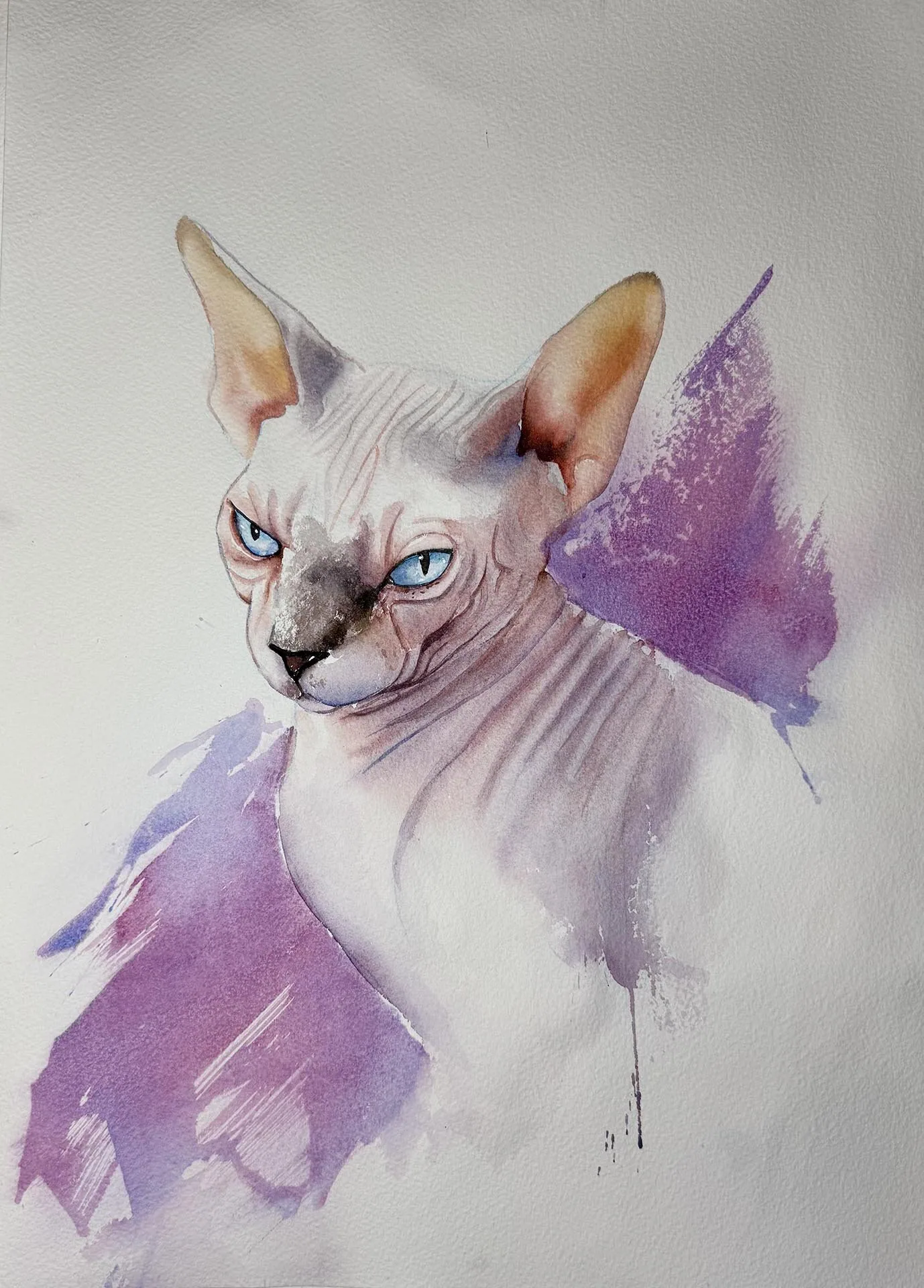 Hand-drawn caricature of a pet