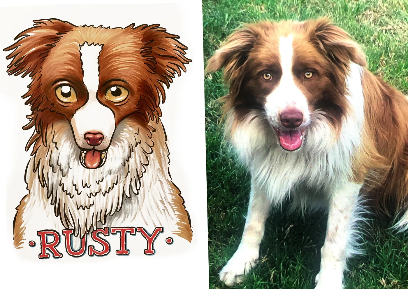 Hand-drawn caricature of a pet