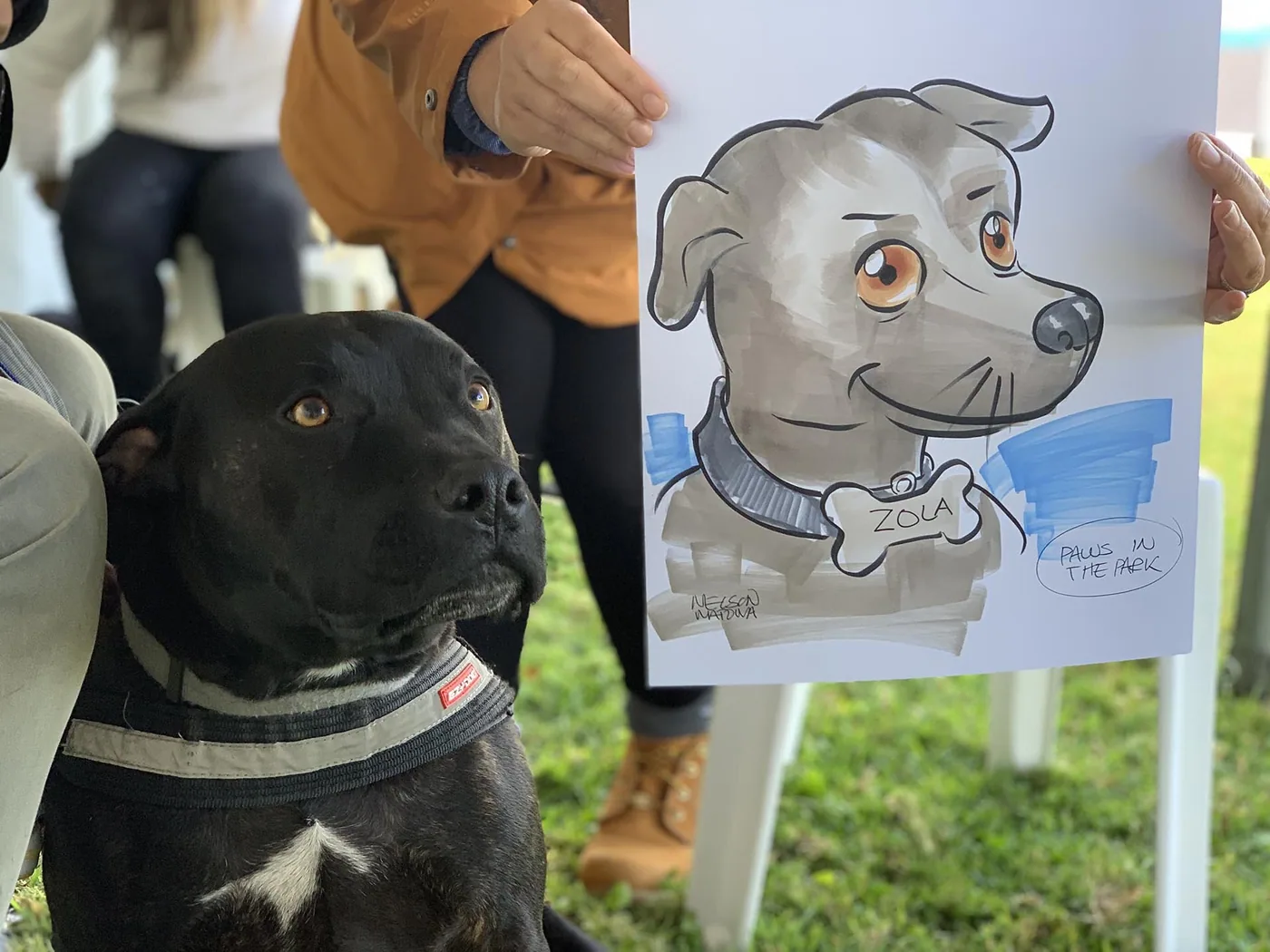 Hand-drawn caricature of a pet