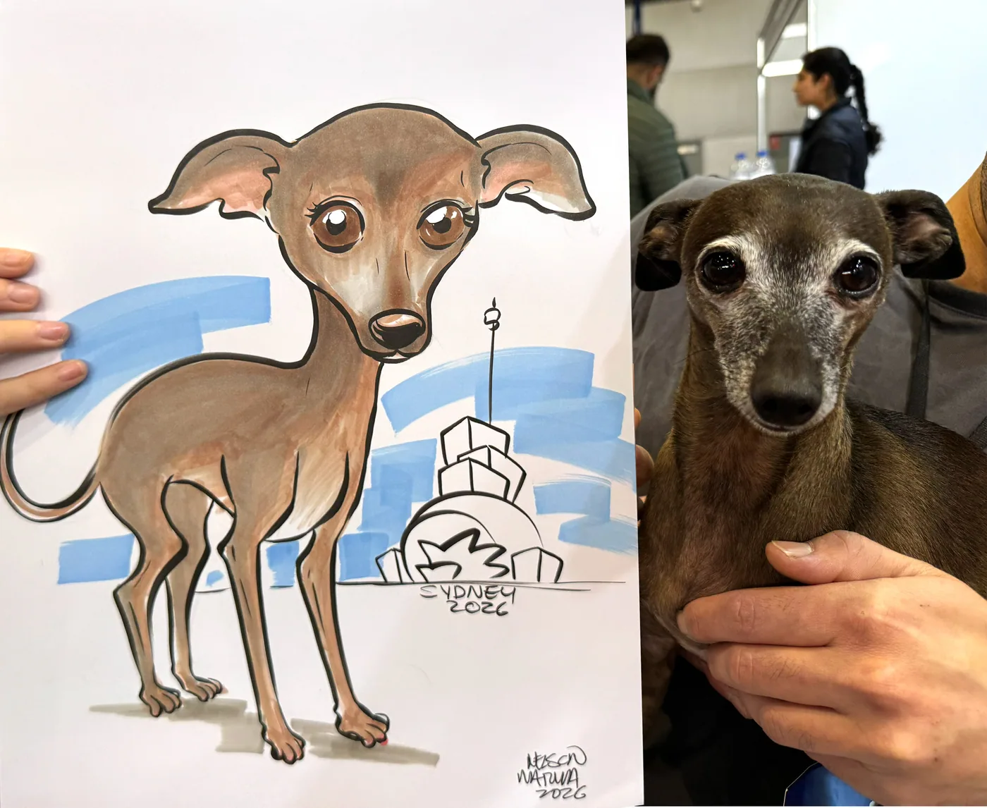 Hand-drawn caricature of a pet
