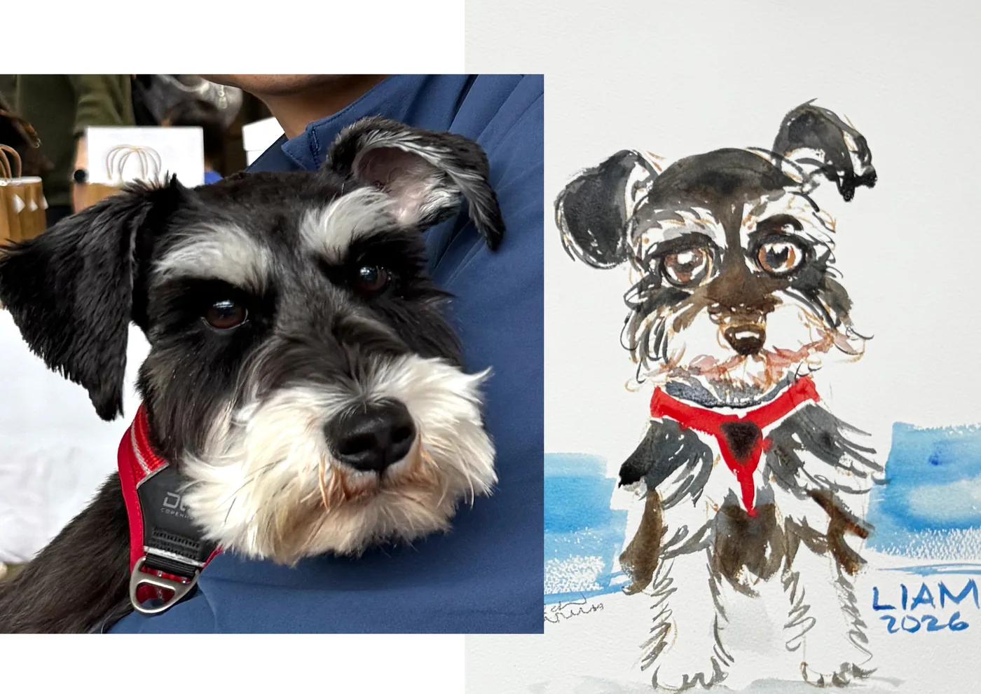 Hand-drawn caricature of a pet