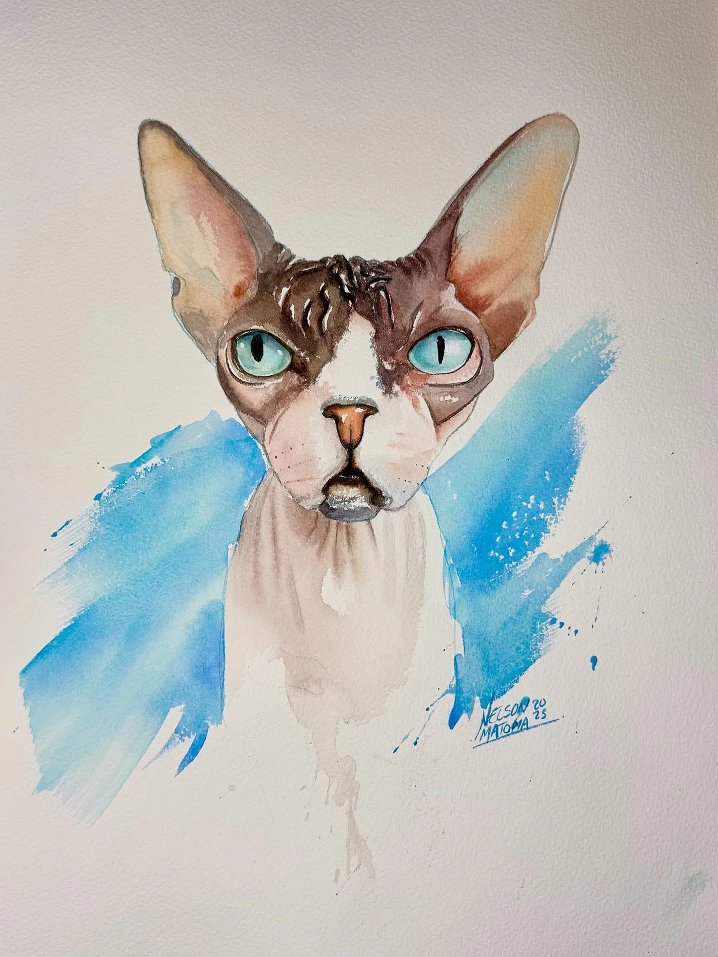 Hand-drawn caricature of a pet
